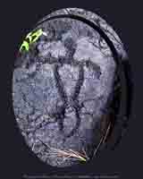 Link to photographs of traditional Hawaiian images on blueroom a/d/i